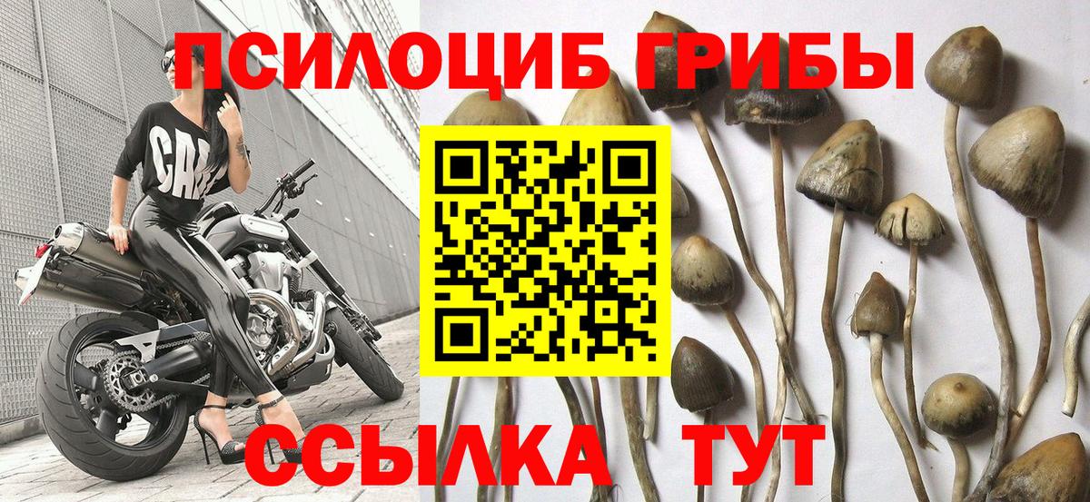 Галлюциногенные грибы Magic Shrooms  Вход с VPN  Ишим 