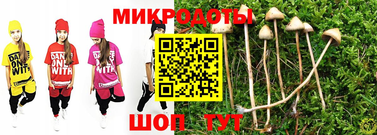 Галлюциногенные грибы Psilocybe Ишим